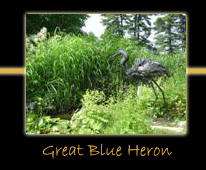 great blue heron steel sculpture by canadian sculptor hilary clark cole
